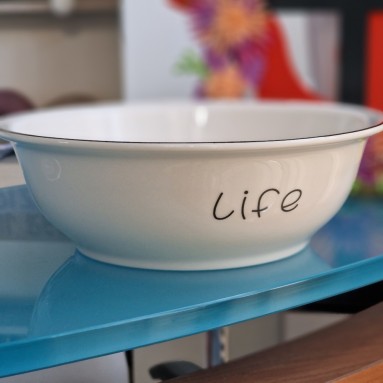 Insalatiera tema gatto