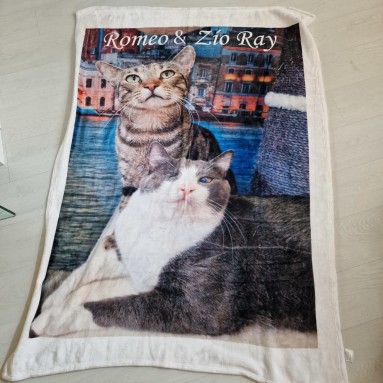 Plaid Zio Ray & Romeo