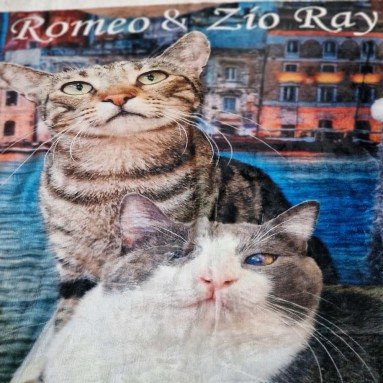 Plaid Zio Ray & Romeo