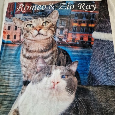 Plaid Zio Ray & Romeo