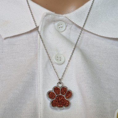 Collana zampa colorata