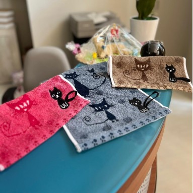 Asciugamano da cucina