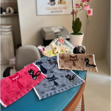 Asciugamano da cucina