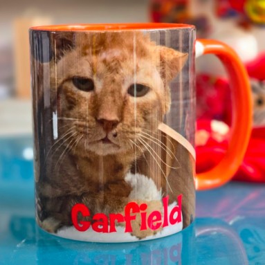 Tazza Garfield