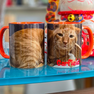 Tazza Garfield