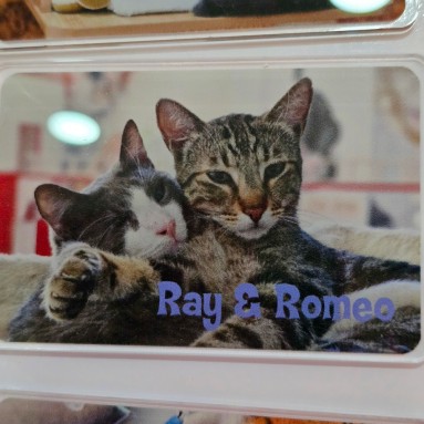 Calamita Ray&Romeo