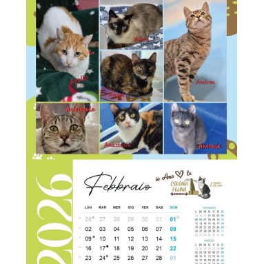 Calendario illustrato 2026