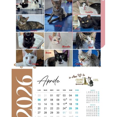 Calendario illustrato 2026