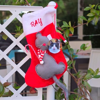 Calza natalizia ZioRay