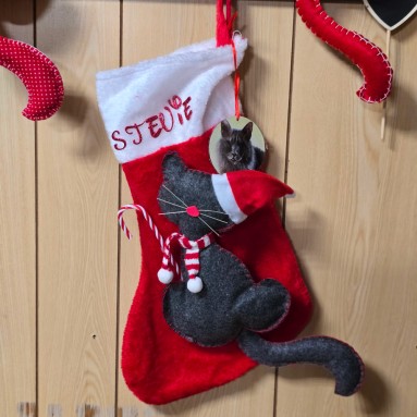Calza natalizia Stevie