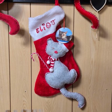 Calza natalizia Eliot