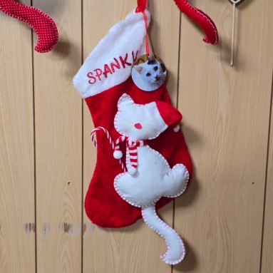 Calza natalizia Spanky