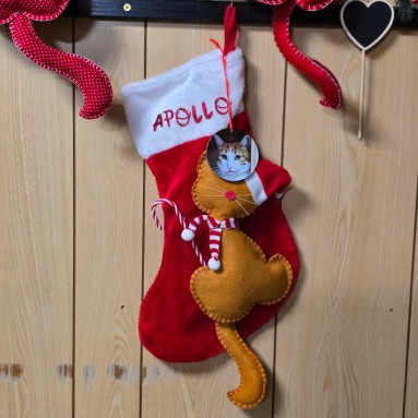 Calza natalizia Apollo