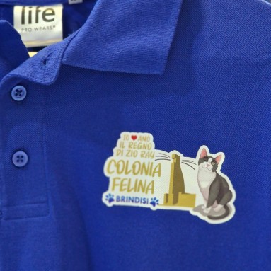 Polo Il Regno di Zio Ray