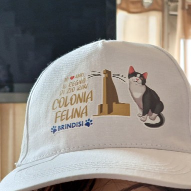 Cappello gatti