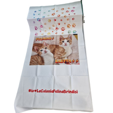 Telo Fulmine e Saetta